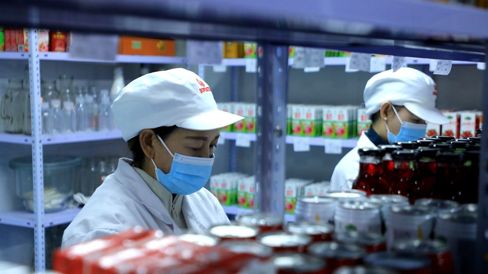 華盛農業 以科技創新為鑰，開啟綠色健康新篇章